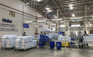 中国家电品牌在印度市场的崛起